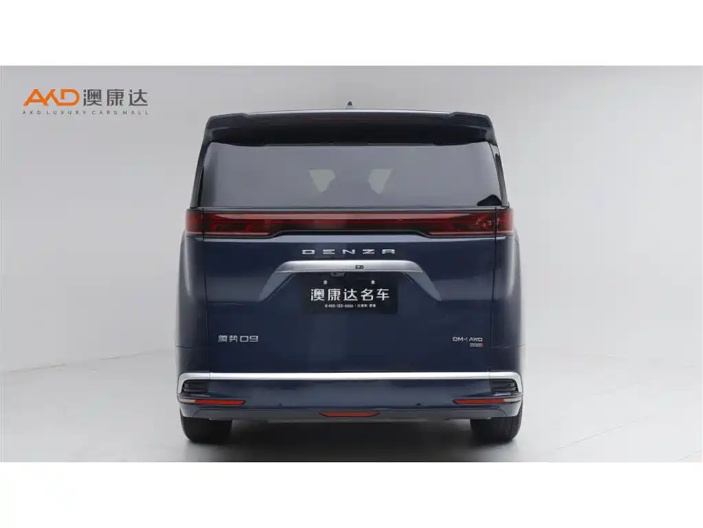 Denza Denza D9 — миниатюра 4