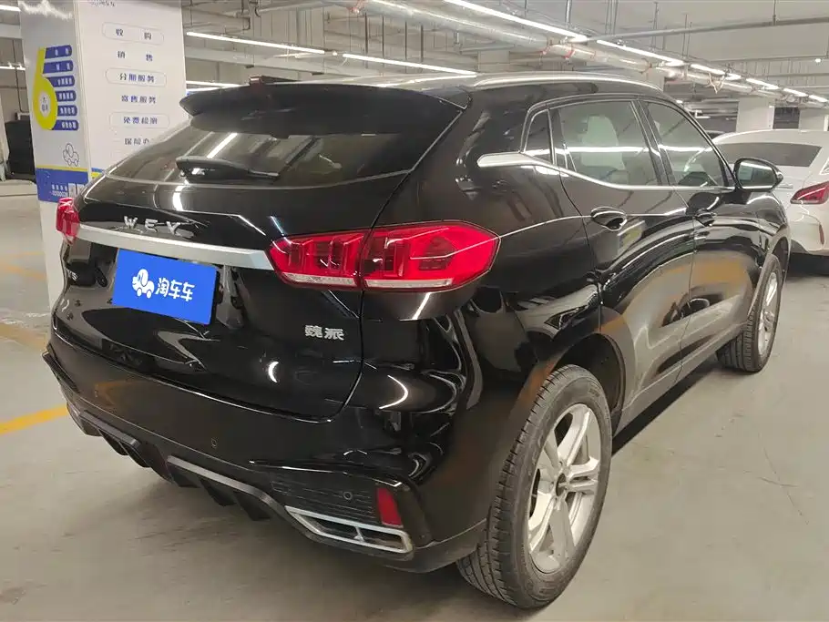 WEI PAI WEI BRAND VV5