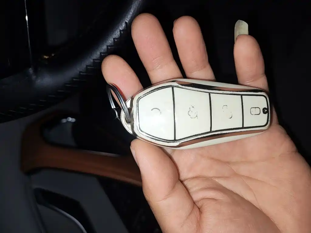 BYD Pro New Energy — миниатюра 9