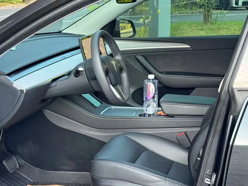 Tesla Model Y — миниатюра 7