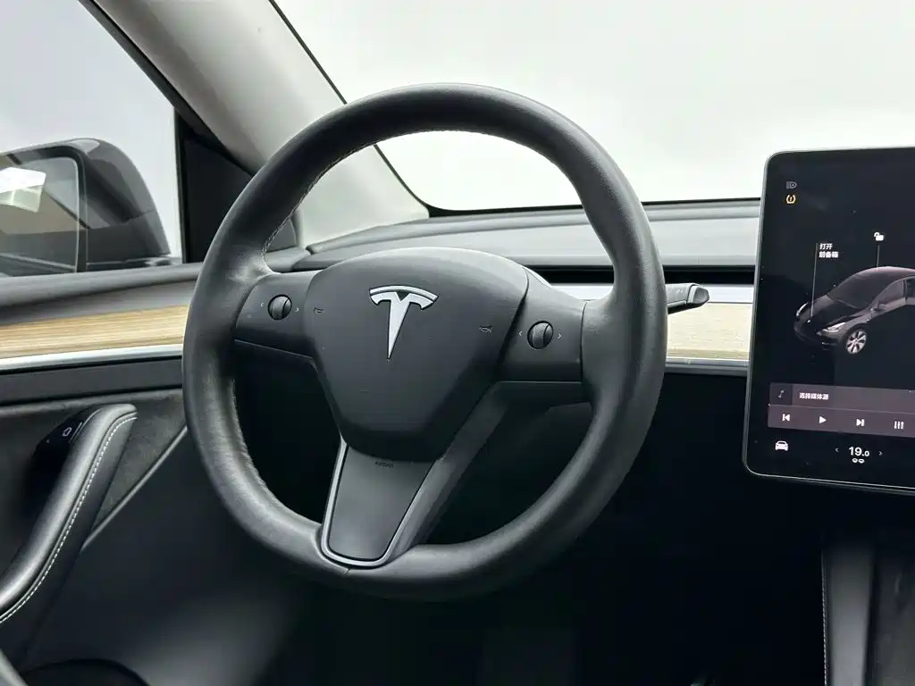 Tesla Model Y — миниатюра 19