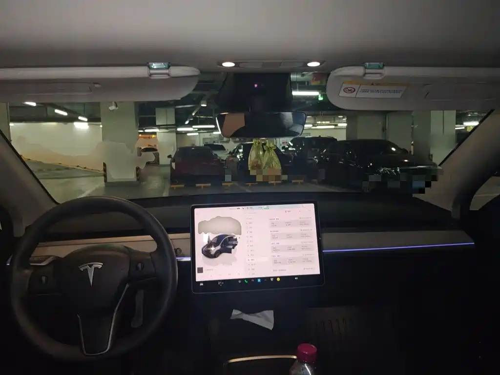 Tesla Model Y — миниатюра 5