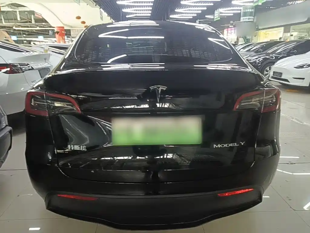 Tesla Model Y — миниатюра 6