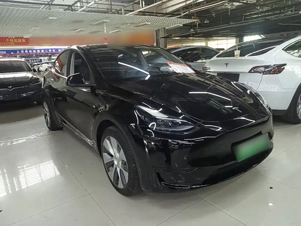 Tesla Model Y — миниатюра 4