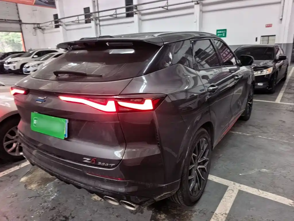 Oshan Oushang Z6 — миниатюра 7