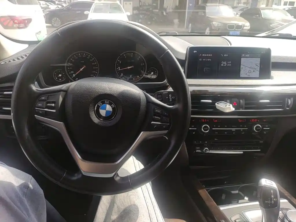 BMW X5 (Import) — миниатюра 11