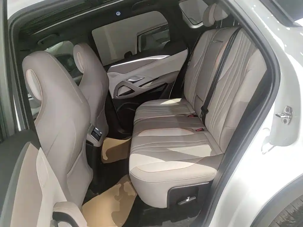 BYD Pro New Energy — миниатюра 17