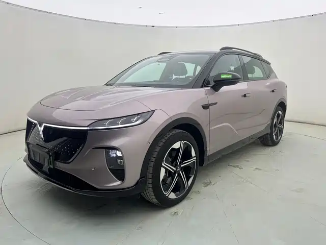 VOYAH LAN TU ZHIYIN 2024