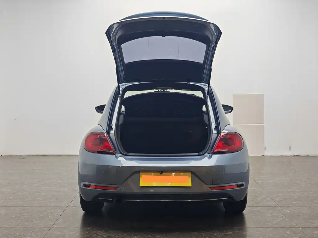 Volkswagen Beetle — миниатюра 13