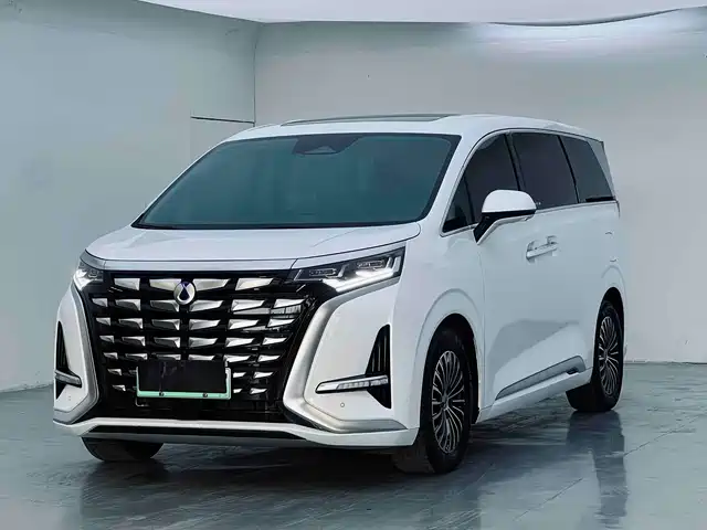 2023 Denza D9