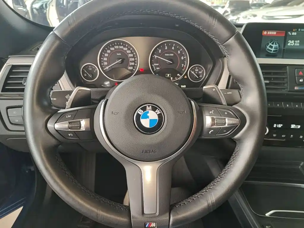 BMW 3 Series GT — миниатюра 11