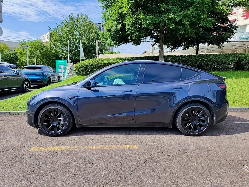 Tesla Model Y — миниатюра 3