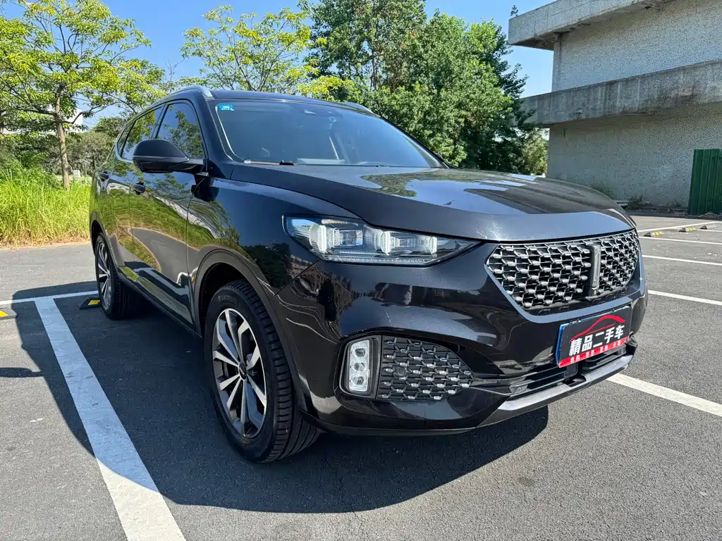 Wey Wey VV6 — миниатюра 4