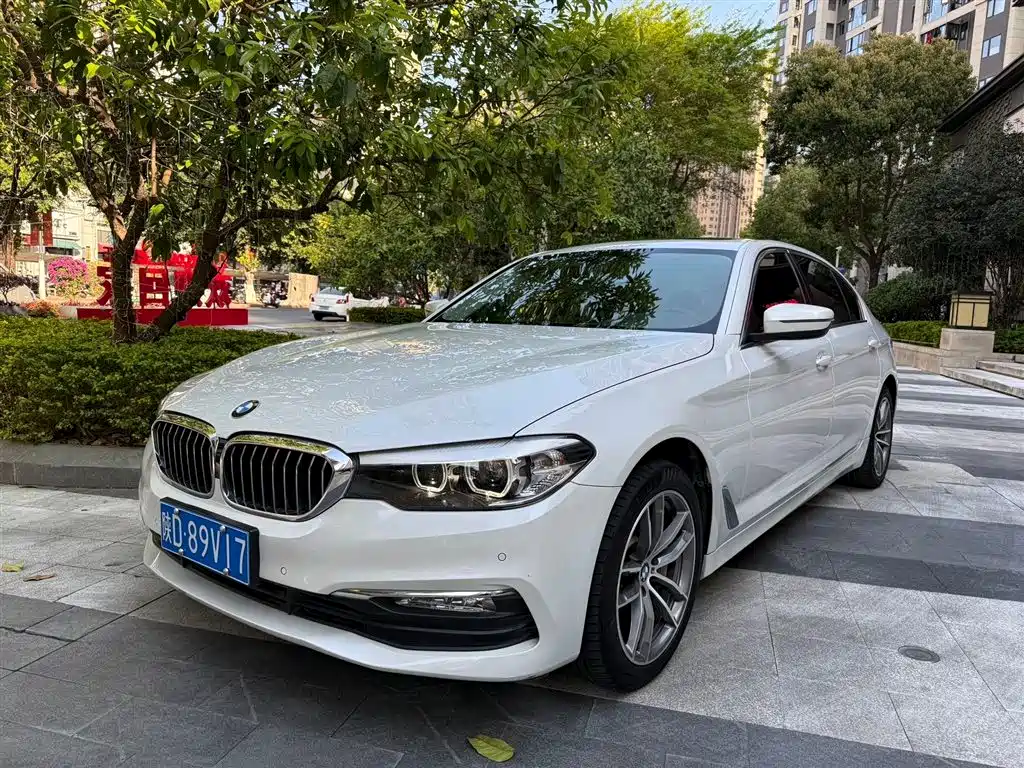 BMW 5 Series 2018 528Li Launch Special Edition