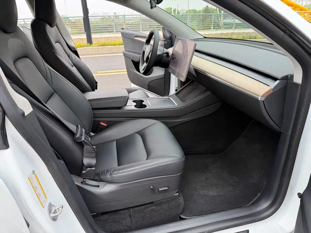 Tesla Model Y — миниатюра 6