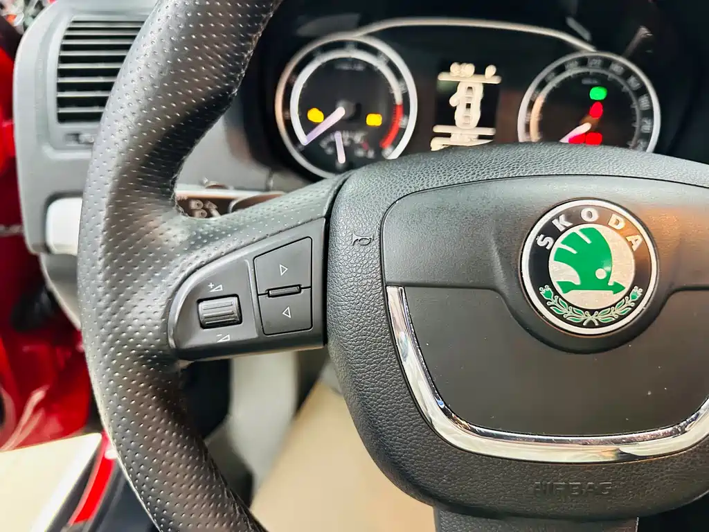 Skoda Octavia — миниатюра 45