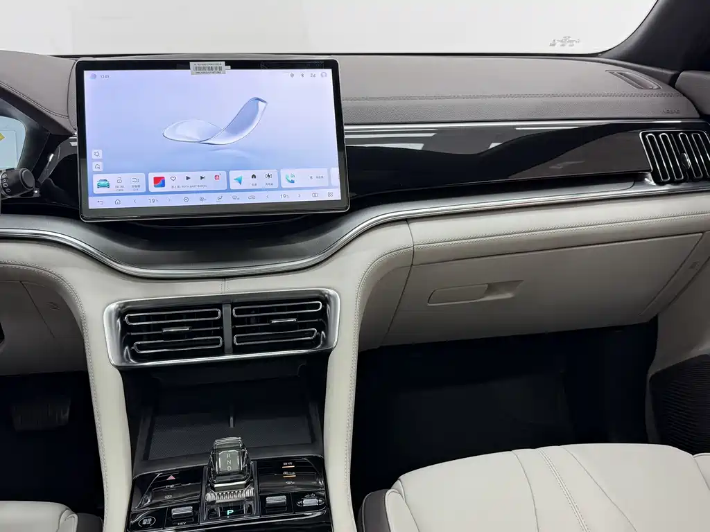 BYD PLUS New Energy — миниатюра 13
