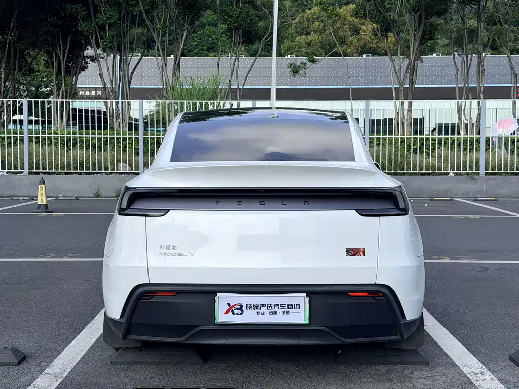 Tesla Model Y — миниатюра 15