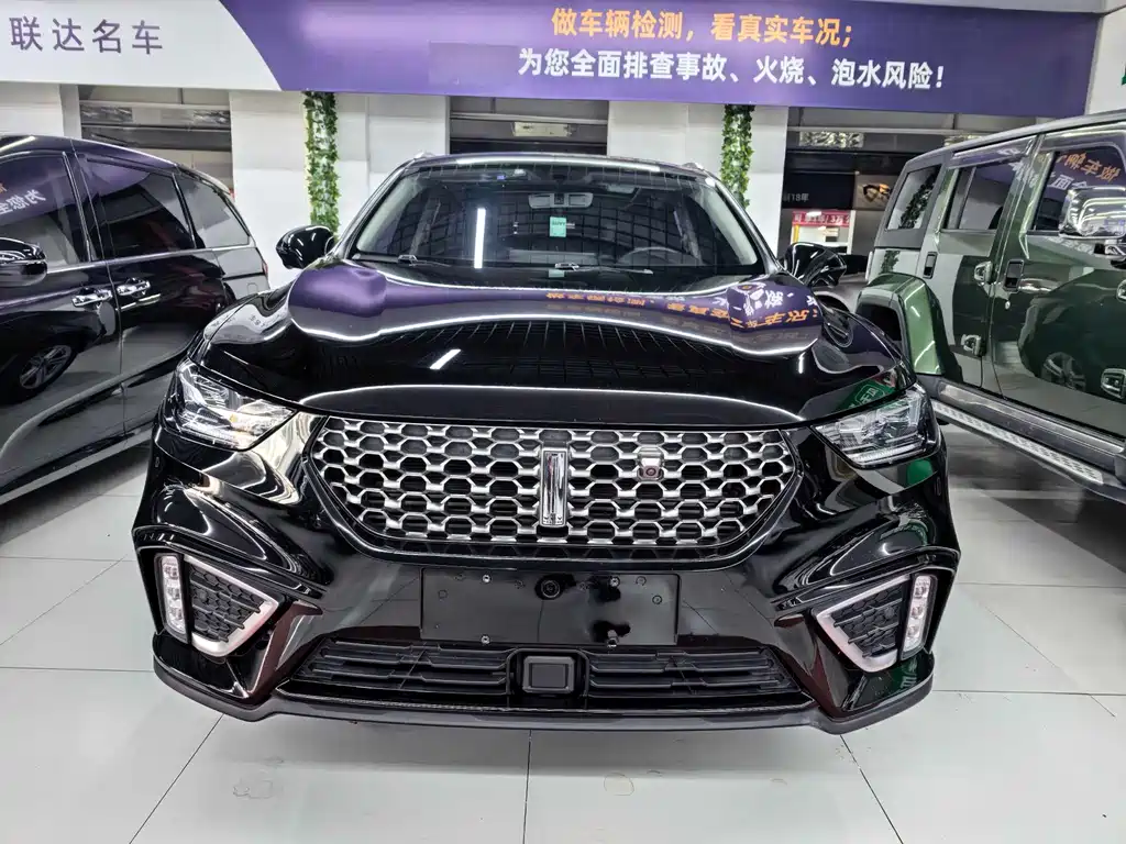 WEI PAI WEI BRAND VV5