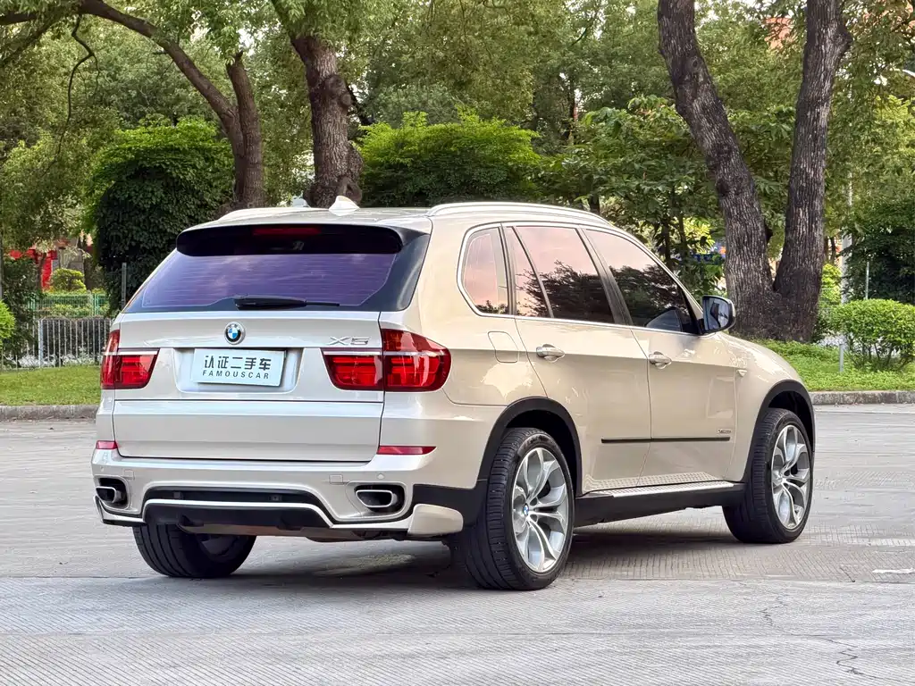 BMW X5 (Import) — миниатюра 5