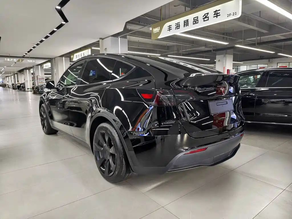 Tesla Model Y — миниатюра 14