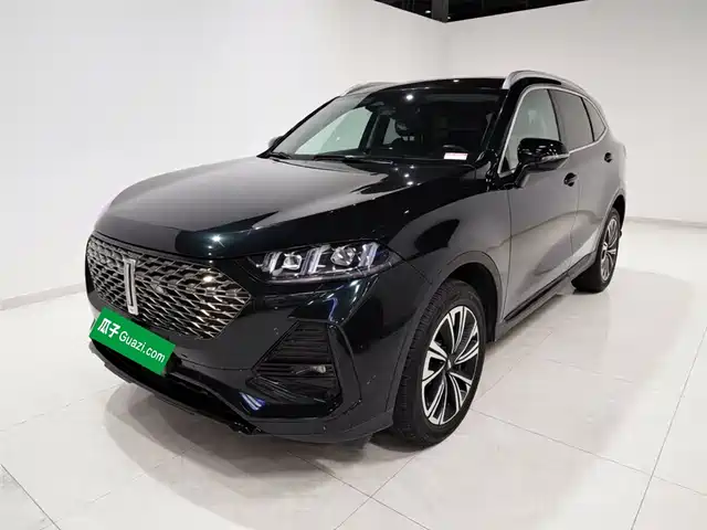 2022 Wey Latte