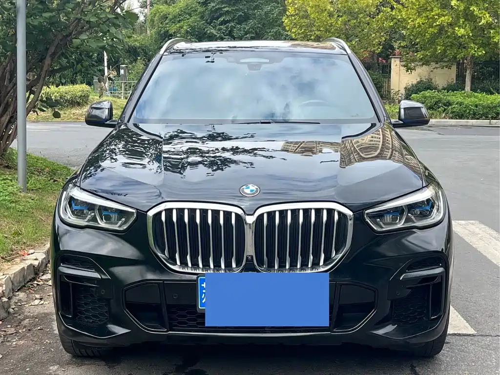 BMW X5 — миниатюра 5