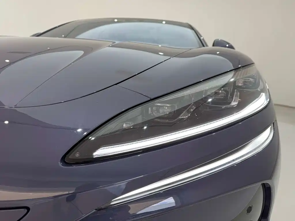 Denza Denza Z9 — миниатюра 4