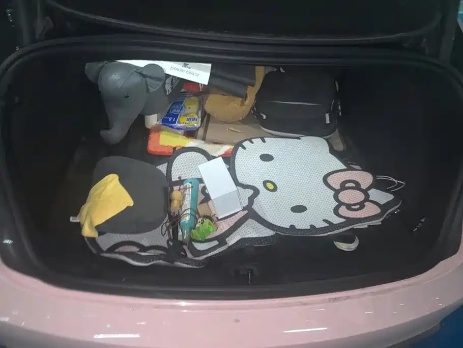 Tesla Model 3 — миниатюра 4