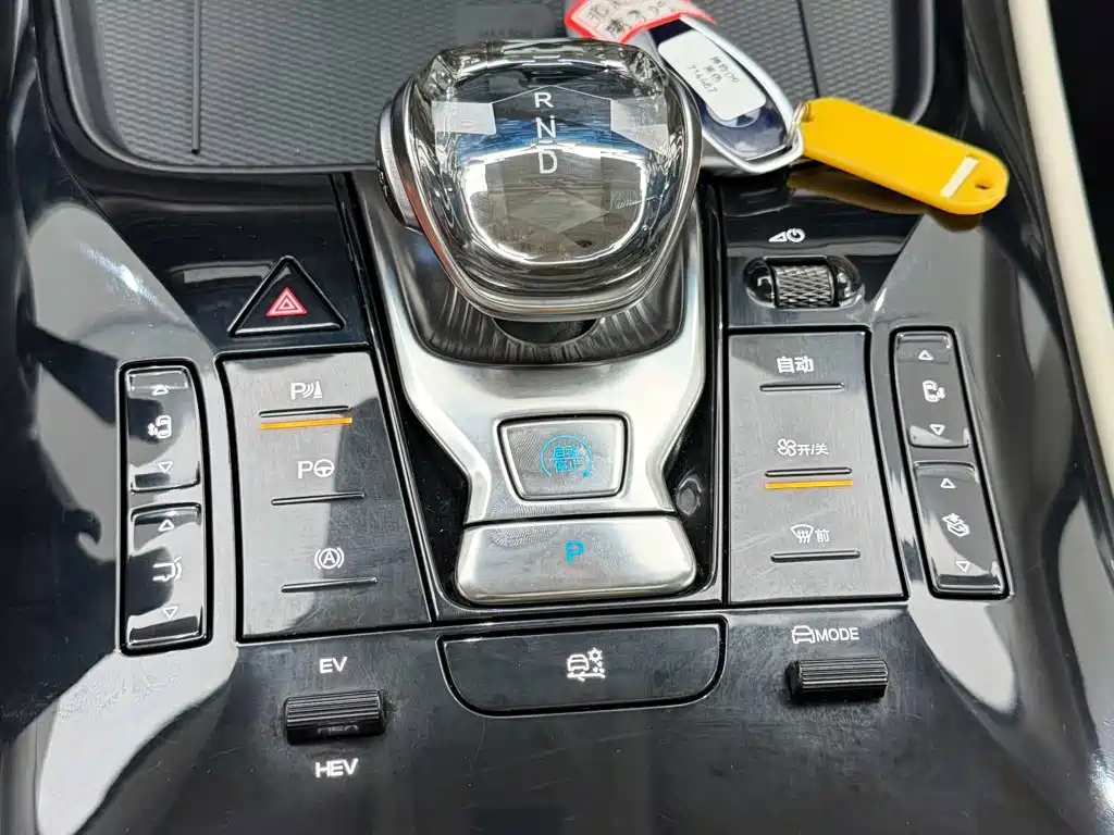 Denza Denza D9 — миниатюра 20