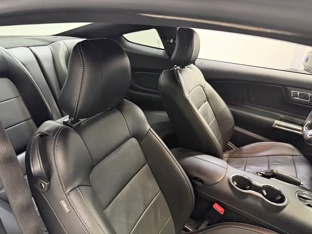 Ford Mustang — миниатюра 14
