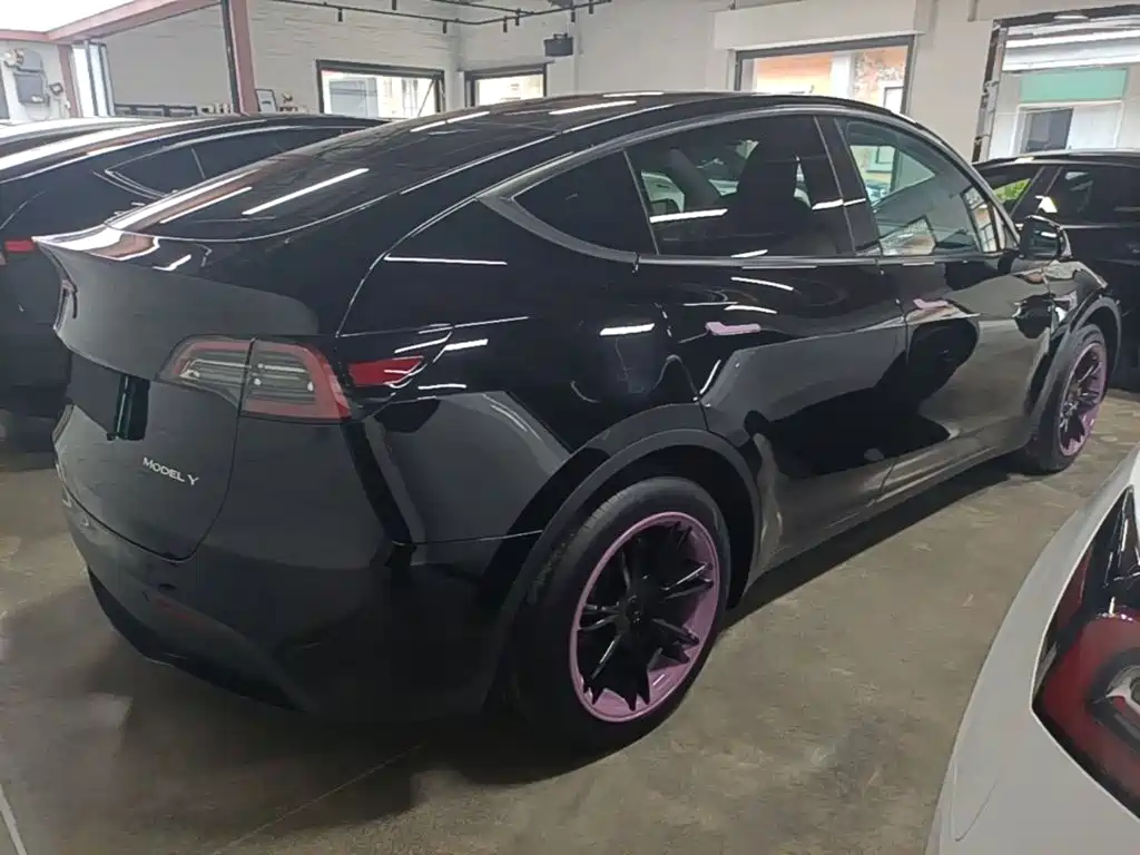 Tesla Model Y — миниатюра 7