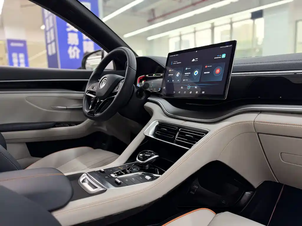 BYD PLUS New Energy — миниатюра 12
