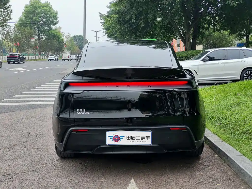 Tesla Model Y — миниатюра 5
