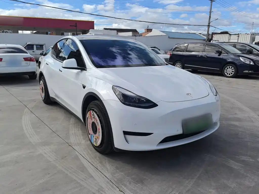 Tesla Model Y — миниатюра 4