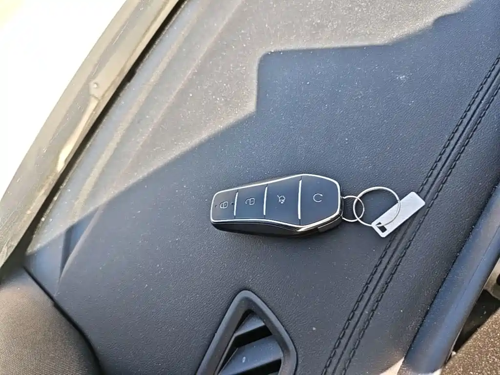 BYD Pro New Energy — миниатюра 9