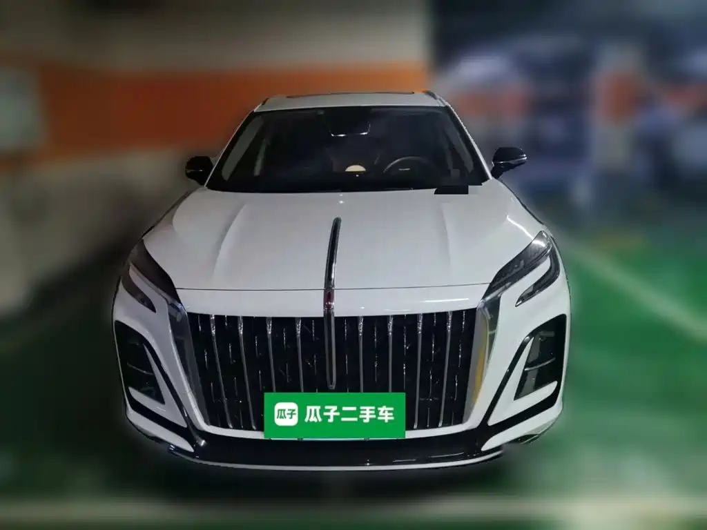 Hongqi Hongqi HS3 — миниатюра 2