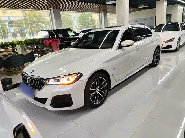 BMW 5 SERIES