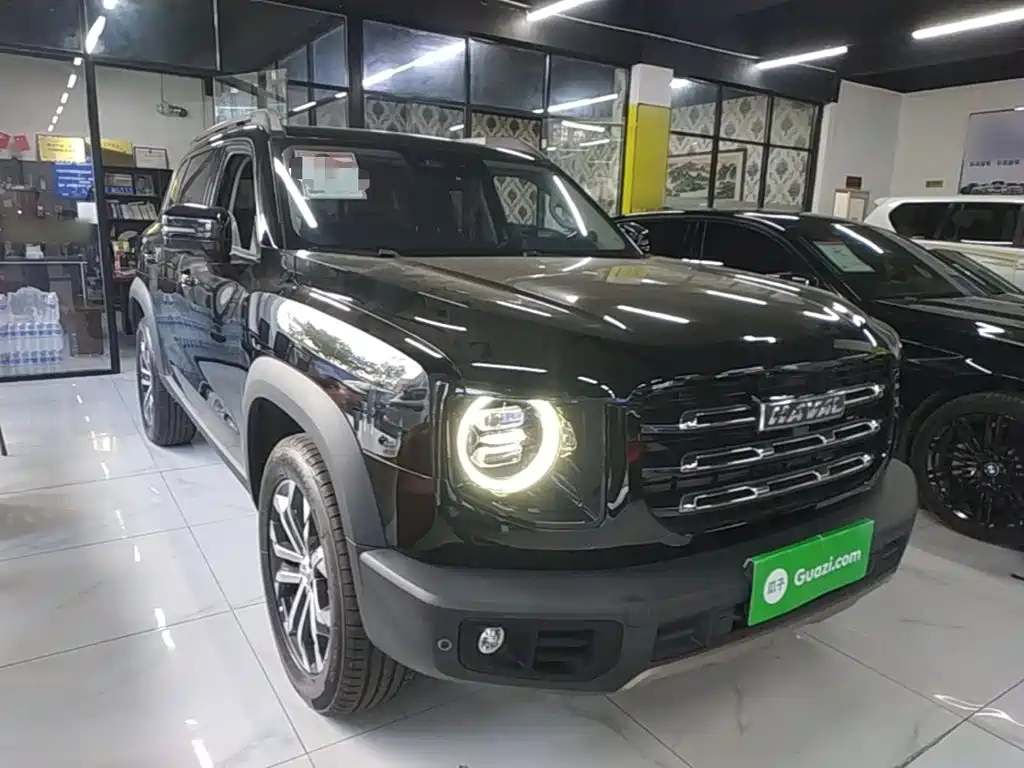 Haval 长城大狗 — миниатюра 4
