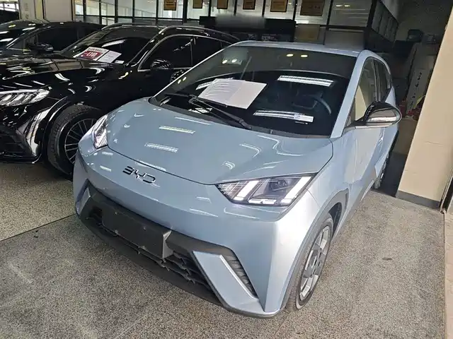 BYD SEAGULL 2024