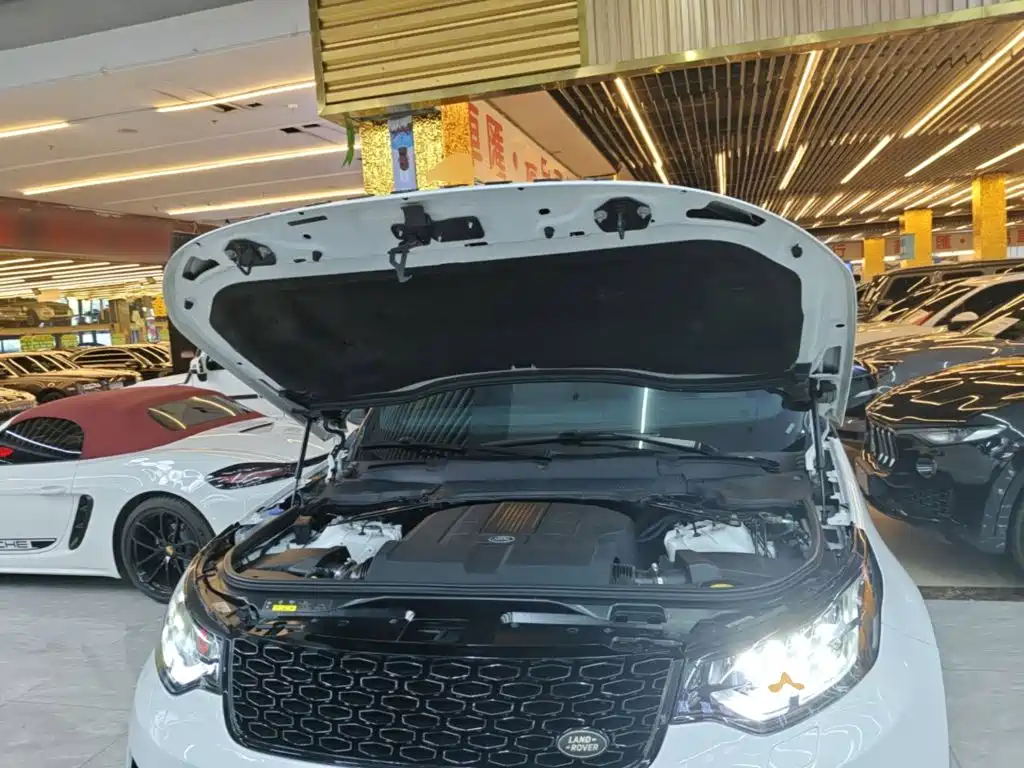 Land Rover Discovery — миниатюра 20