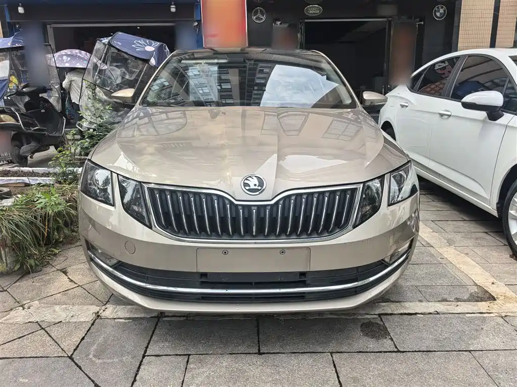 Skoda Octavia 2019 1.5L AT Luxury V