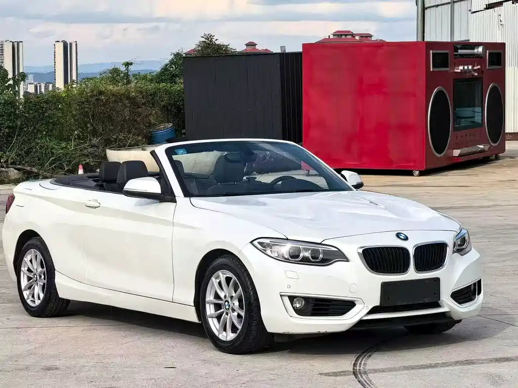 BMW 2 Series (Import) — миниатюра 3