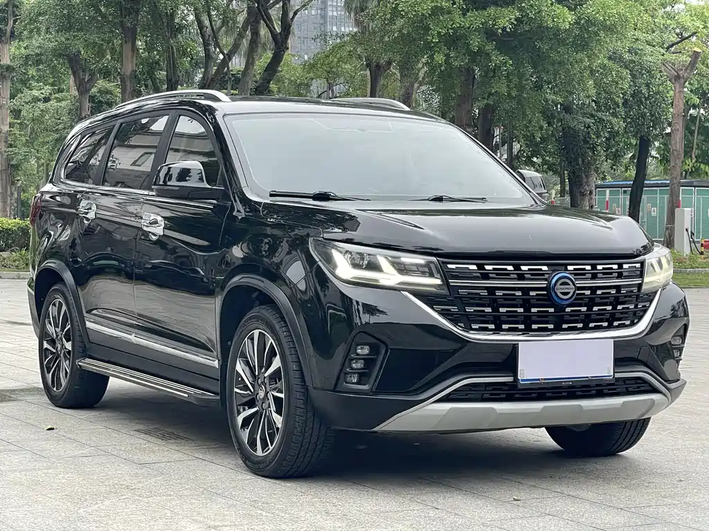Fengxing Fengxing T5L 2020