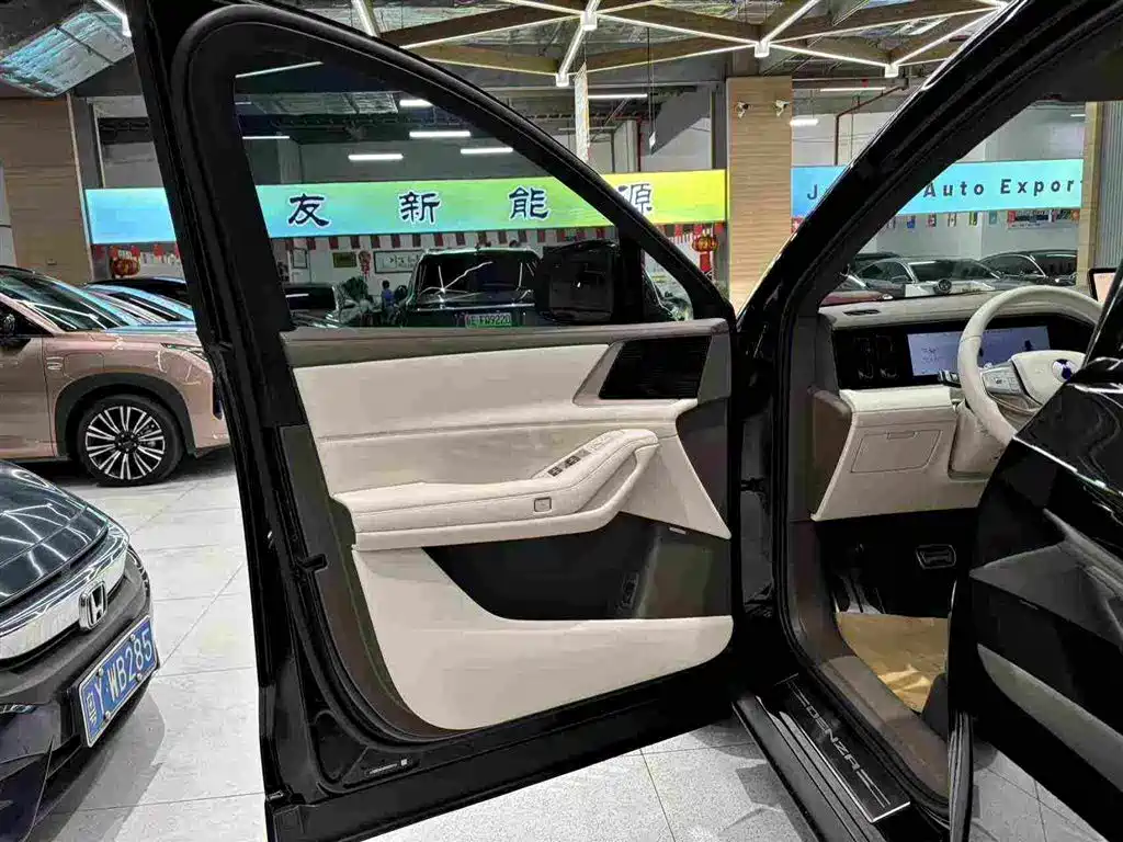 Denza Zoom N8L — миниатюра 16