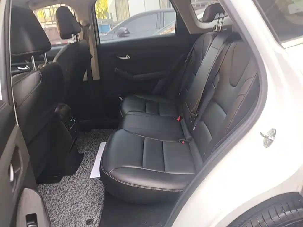 Haval Chitu — миниатюра 17