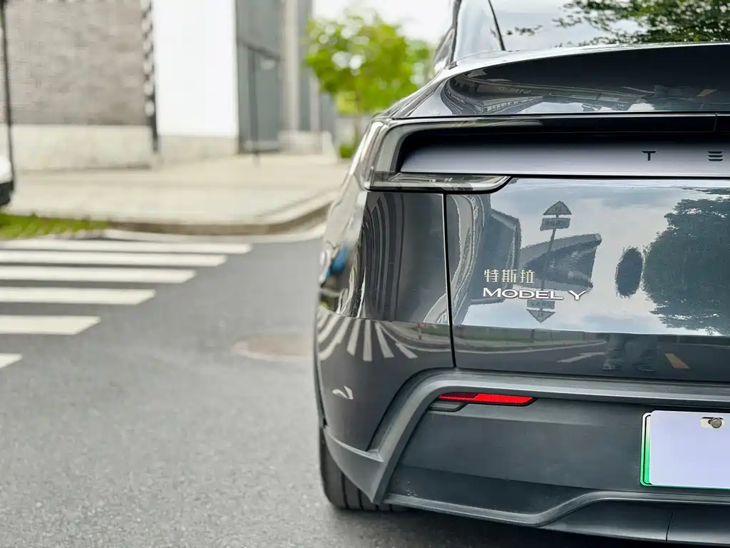 Tesla Model Y — миниатюра 7