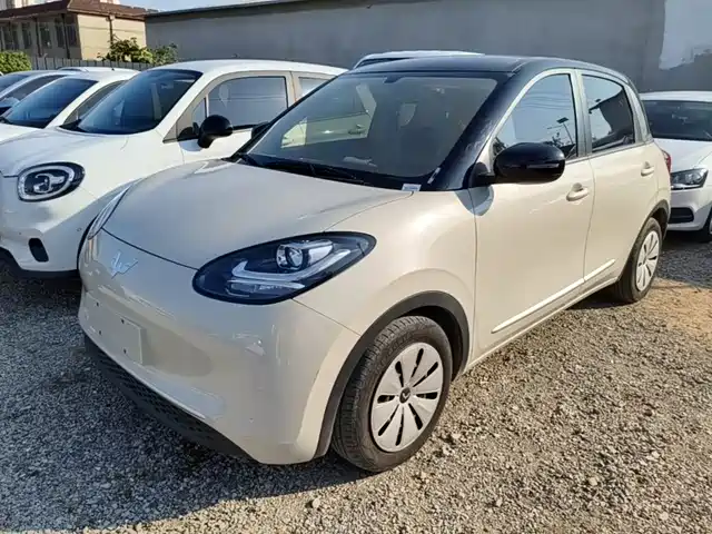 Wuling Bingo