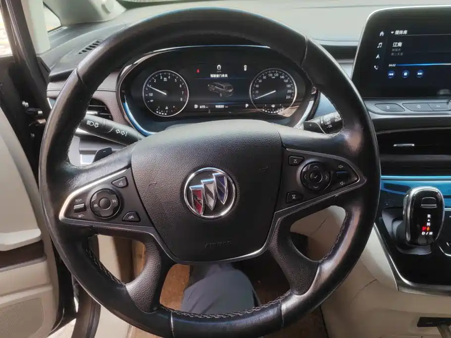 Buick GL8 — миниатюра 15