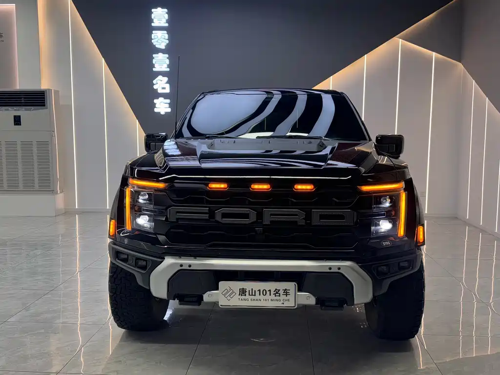 Ford F-150 Raptor — миниатюра 2